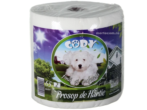Prosop de hartie Cody 2straturi 65metri