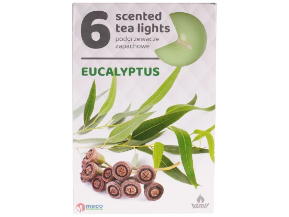 Lumanari pastila Eucalyptus 6buc